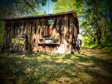 10441 Old Stage Road - Photo 6