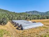9820 Evans Creek Road - Photo 29