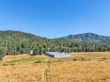 9820 Evans Creek Road - Photo 44