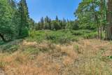 9820 Evans Creek Road - Photo 57