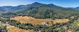 9820 Evans Creek Road - Photo 59