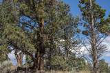 64401 Deschutes Market Road - Photo 34