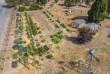 16963 Bullhead Road - Photo 5