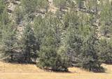 17550 Maupin Road - Photo 43