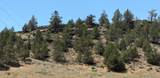 17550 Maupin Road - Photo 56