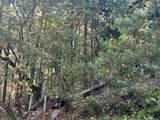 4234 Placer Road - Photo 13