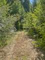  0 Mount Reuben Road - Photo 8