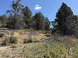 0 Mountain Trout Lane - Photo 5