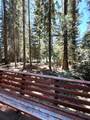 4 Fish Lake Tract G - Photo 25