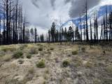 0 Shasta Fir Lane - Photo 4