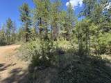 0 Grizzy Lane - Photo 4