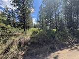 0 Grizzy Lane - Photo 6