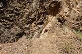  French Peak Road - Photo 14