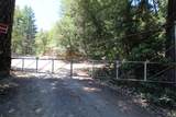  French Peak Road - Photo 3