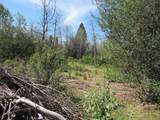 0 Forest View Drive - Photo 4