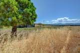 2457 Coker Butte Road - Photo 3
