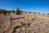 5107 Lost Cow Road - Photo 31