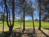 52844 Timber Lane Loop - Photo 5