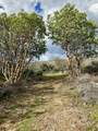 6585 Little Applegate Road - Photo 15