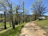 6585 Little Applegate Road - Photo 33