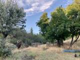6585 Little Applegate Road - Photo 94
