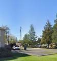 350 Alder Street - Photo 13
