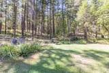 5406 Evans Creek Road - Photo 10
