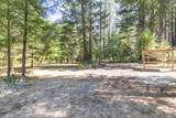 5406 Evans Creek Road - Photo 35