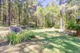 5406 Evans Creek Road - Photo 9