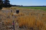 68755 Fryrear Road - Photo 13