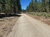 0 Gray Wolf Lane - Photo 5