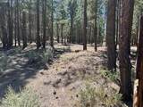 0 Gray Wolf Lane - Photo 7