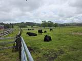 91146 Pioneer Farm Road - Photo 45