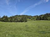 91146 Pioneer Farm Road - Photo 6