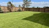 4317 Reindeer Avenue - Photo 51