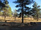 55820 Parazoo Trail - Photo 47