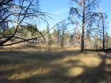 55820 Parazoo Trail - Photo 50
