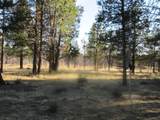 55820 Parazoo Trail - Photo 51