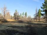 55820 Parazoo Trail - Photo 53