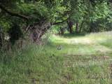 4340 State Hwy 38 - Photo 52