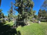 2635 Darrow Avenue - Photo 33