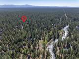 14375 Brown Trout Way - Photo 11