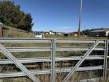 5641 Homedale Road - Photo 4