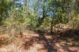 0 Hogan Road - Photo 4