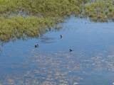 0 Duck Club Court - Photo 21
