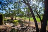 100 Pebble Creek Drive - Photo 20