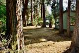 19124 River Woods Drive - Photo 10