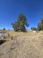 3138 Sheep Mountain Road - Photo 31