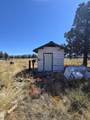 3138 Sheep Mountain Road - Photo 33