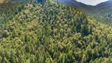 4889 Thompson Creek Road - Photo 2